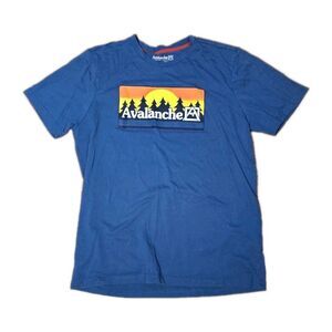 Avalanche Outdoor Supply Co Gorpcore Mountain Graphic Tee Men's Large‎